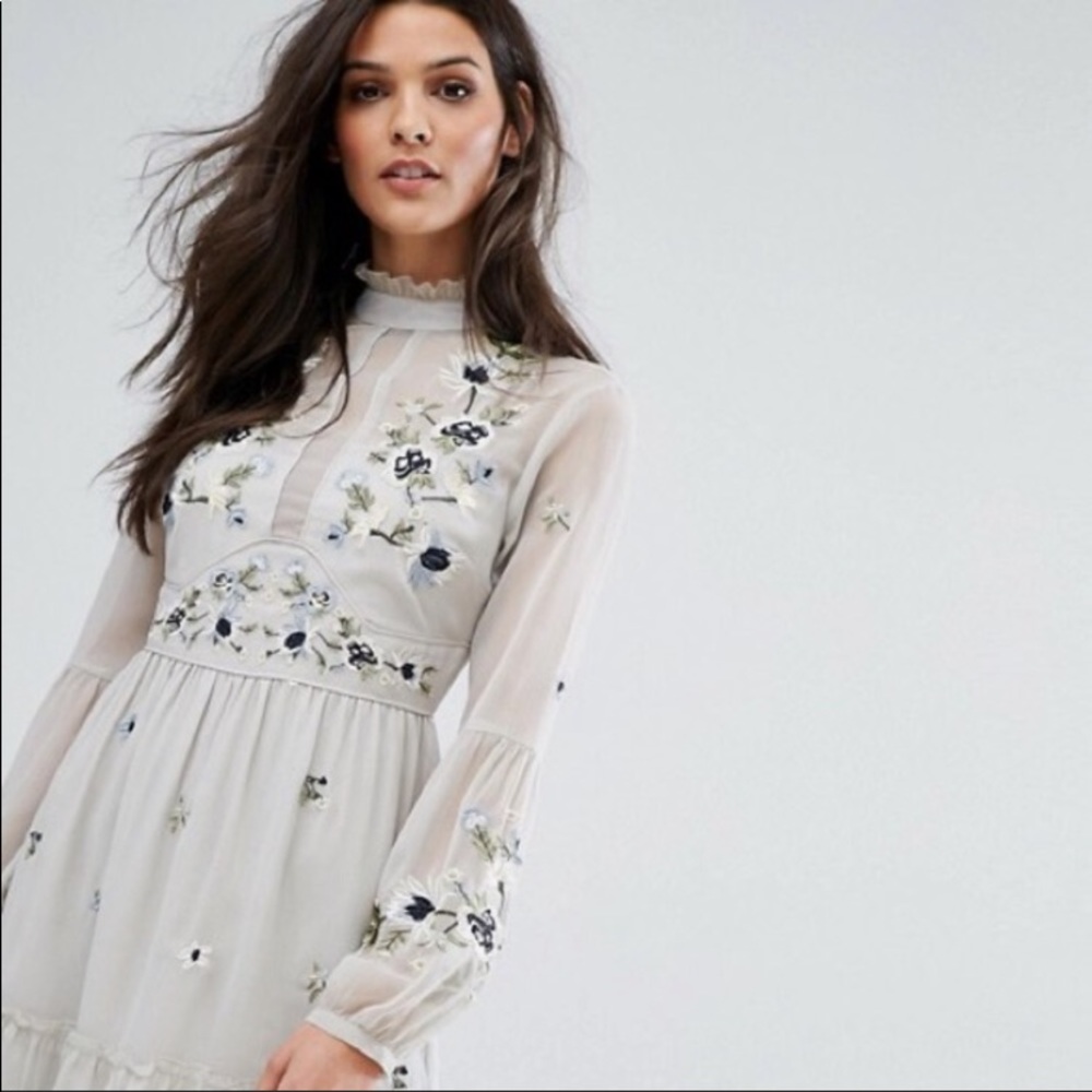 River Island Embroidered Mesh Mini Dress